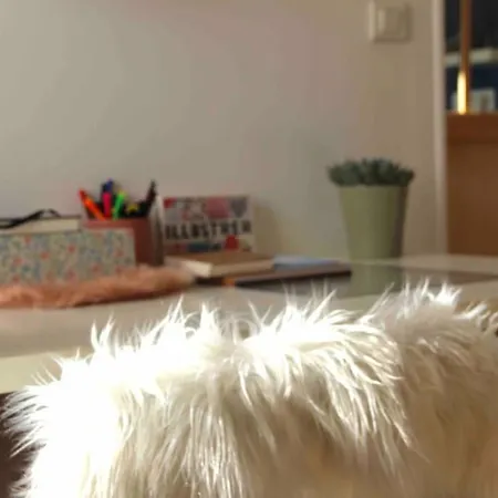 Calme Et Chaleureux Avec Stationnement Gratuit Apartment