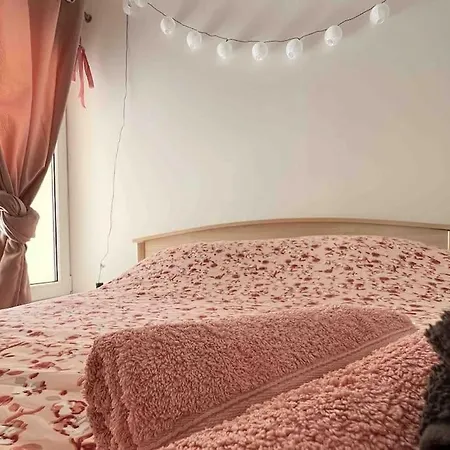Apartment Calme Et Chaleureux Avec Stationnement Gratuit Nantes